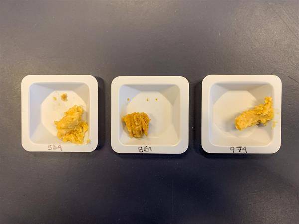 Muestra de tres tipos de miso tras la fermentación/ EFE MaggieCoblentz (Instituto Tecnológico de Massachusetts)