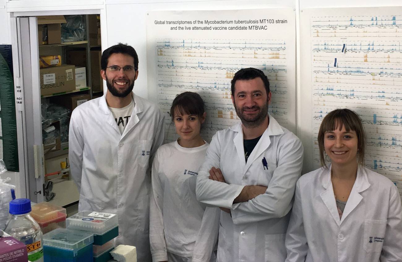 Demostrada la capacidad terapéutica de las vacunas de tuberculosis frente al asma en ratones