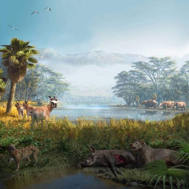 Reconstrucción paleoambiental de la comunidad extinta 